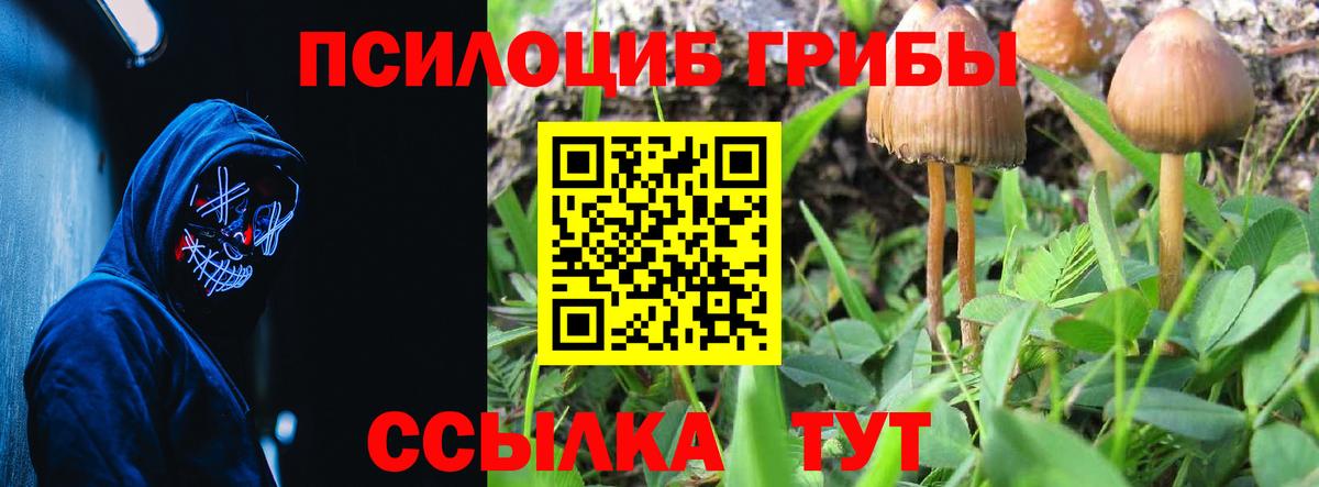 Псилоцибиновые грибы MAGIC MUSHROOMS  Вход с VPN  Арсеньев 